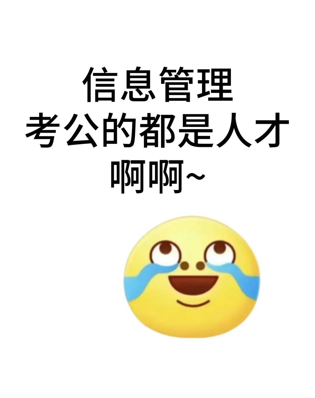 信息管理专业去考公的都是人才啊！