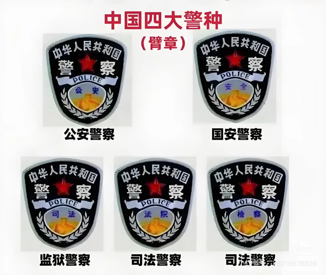 正国级干部