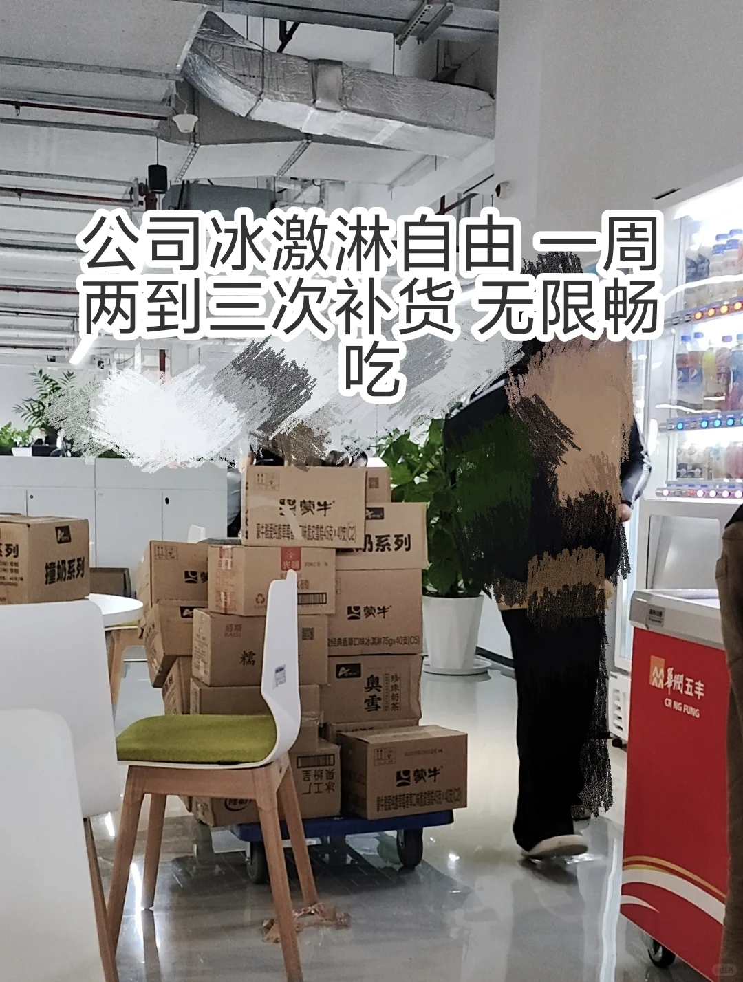 九号公司校招内推和入职一个月体验