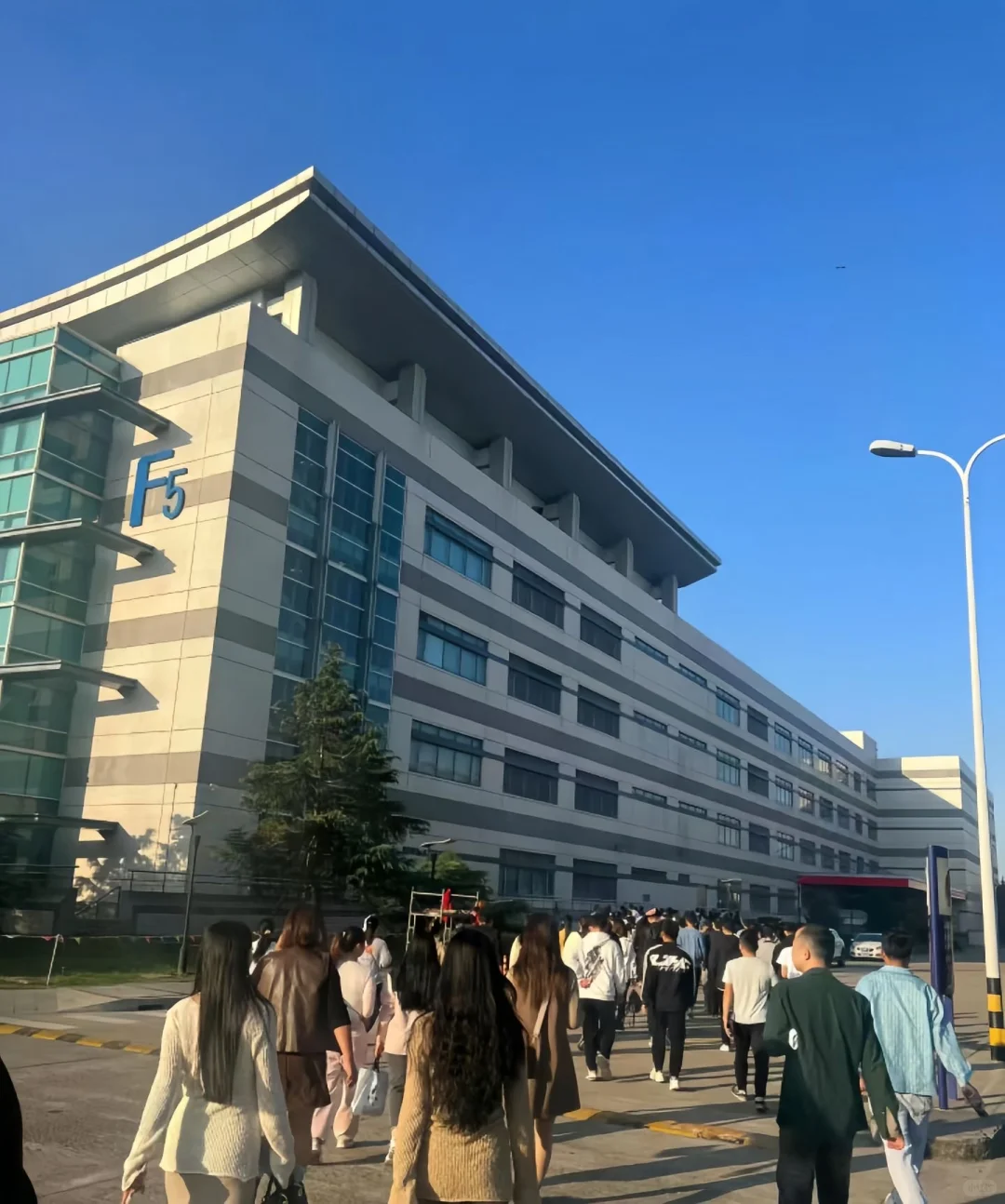 广州黄埔电子厂直招