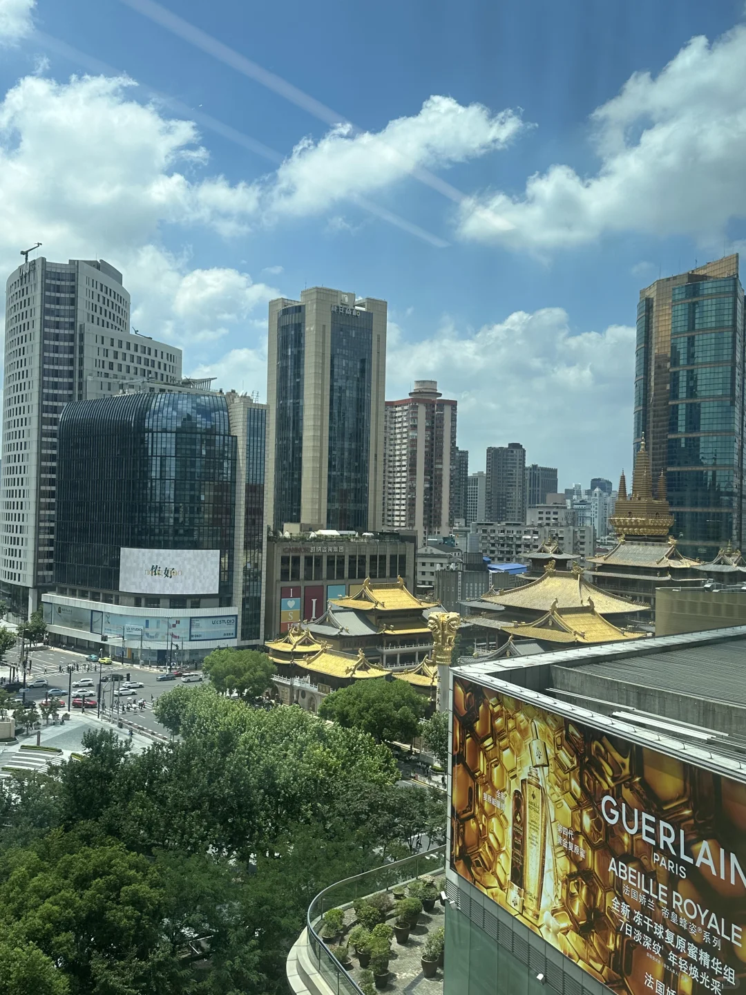 捞一个香香甜甜的继任