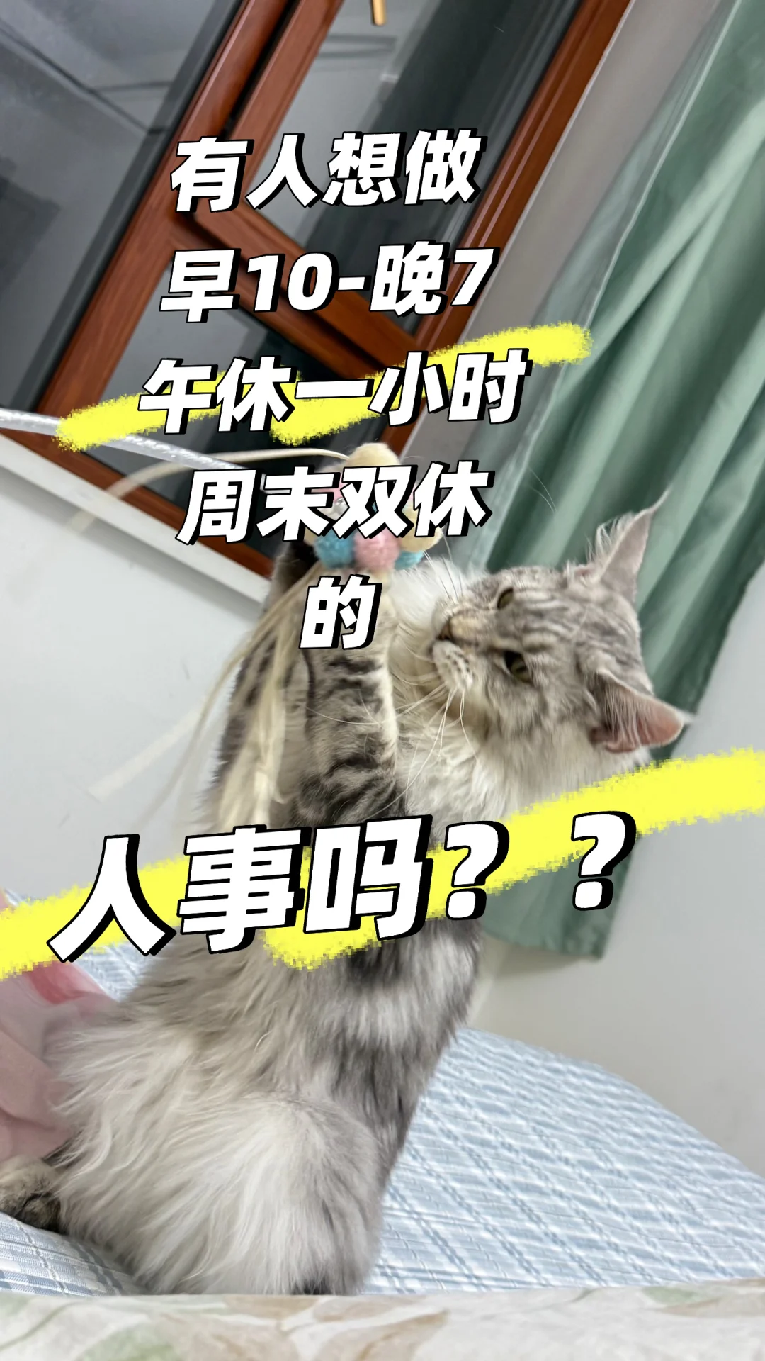 无责底薪3k+提成 周末双休不加班