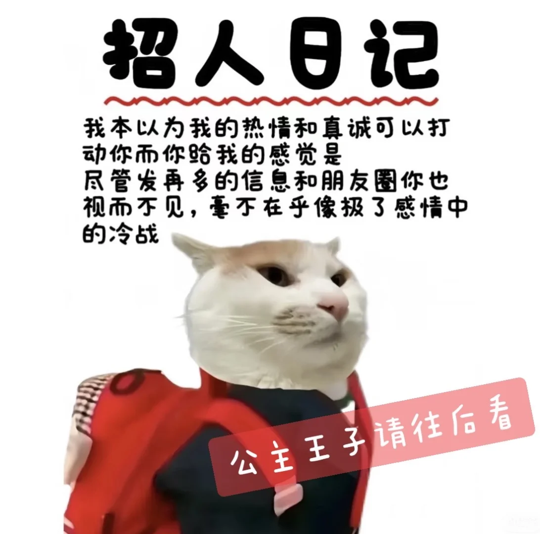 还有找工作的吗🙈诚招内贸业务员啦