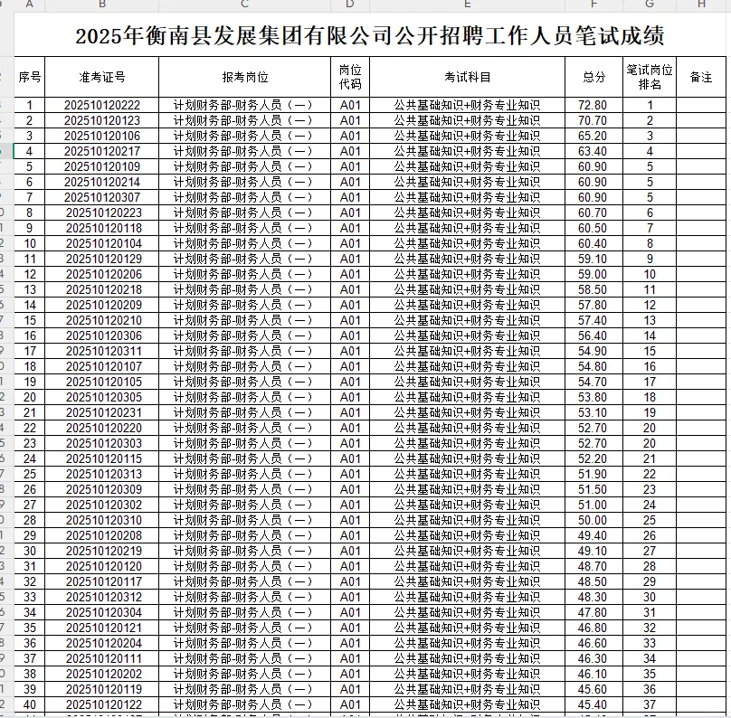 2025衡南县发展集团有限公司招聘笔试成绩表