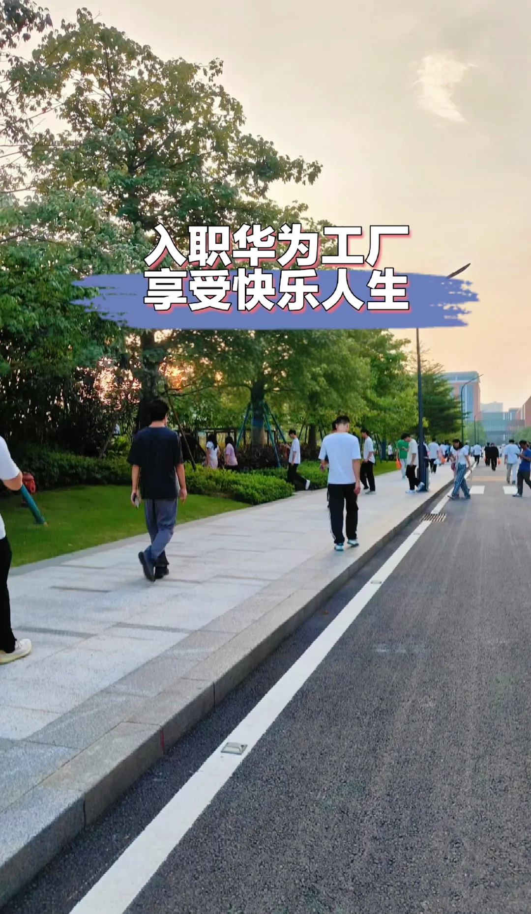华为工厂超全入行指南这不就来了！😉