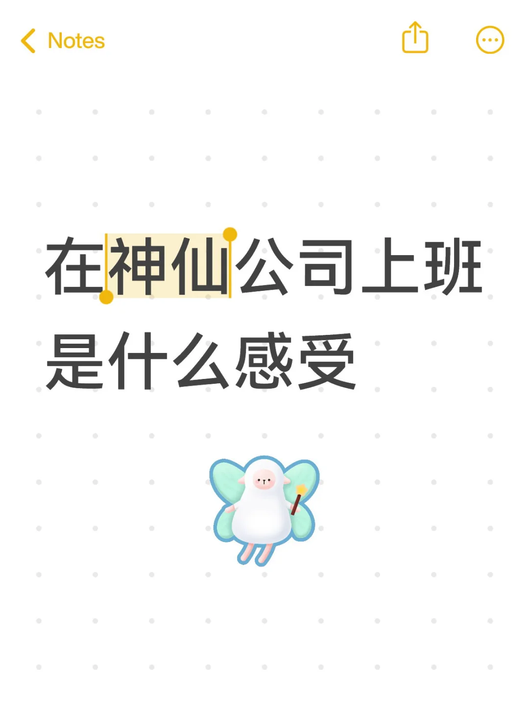 香香市的宝宝快来快来🙌
