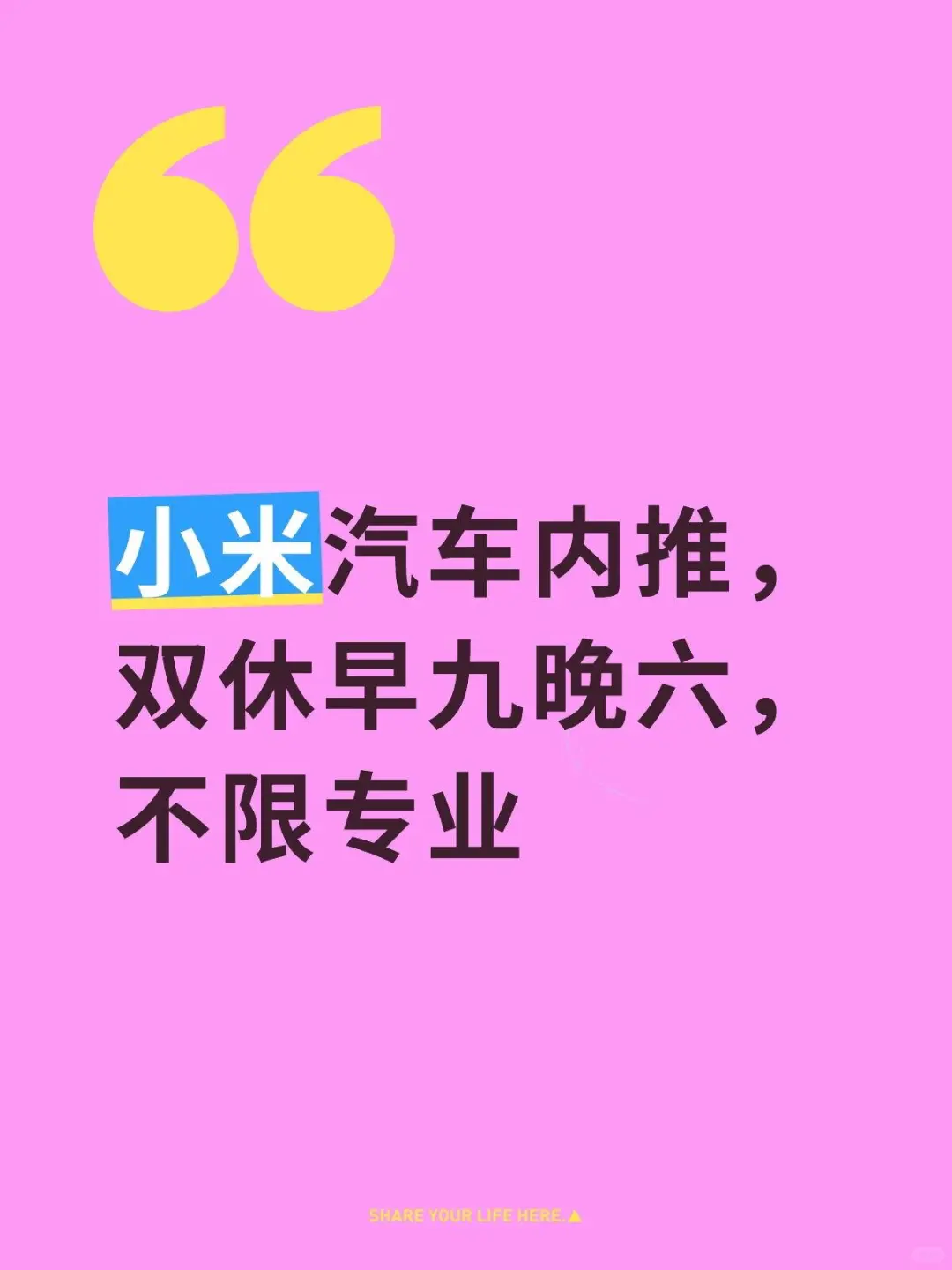 小米汽车内推，双休早九晚六，不限专业