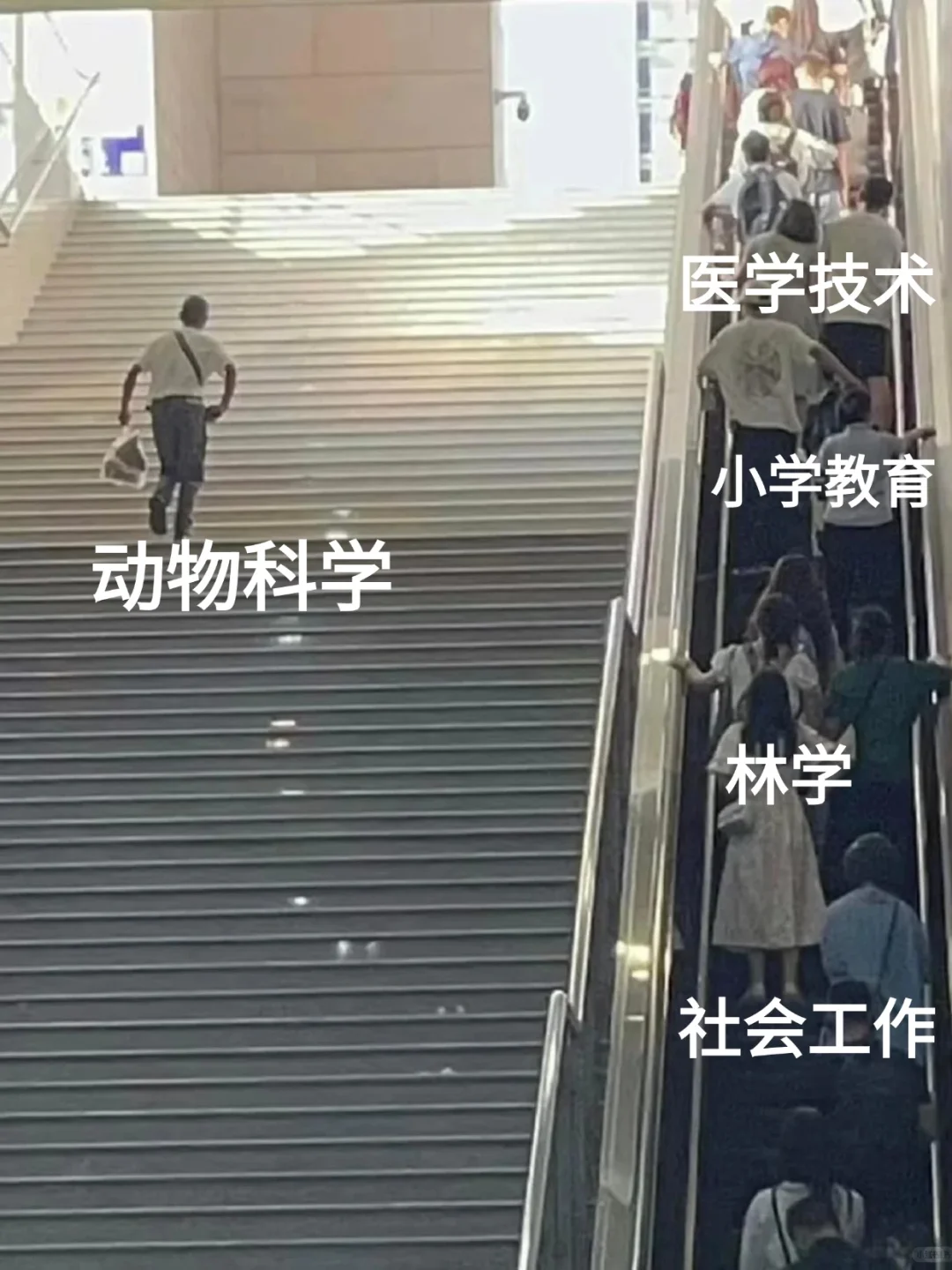 动物科学专业的好日子来啦！