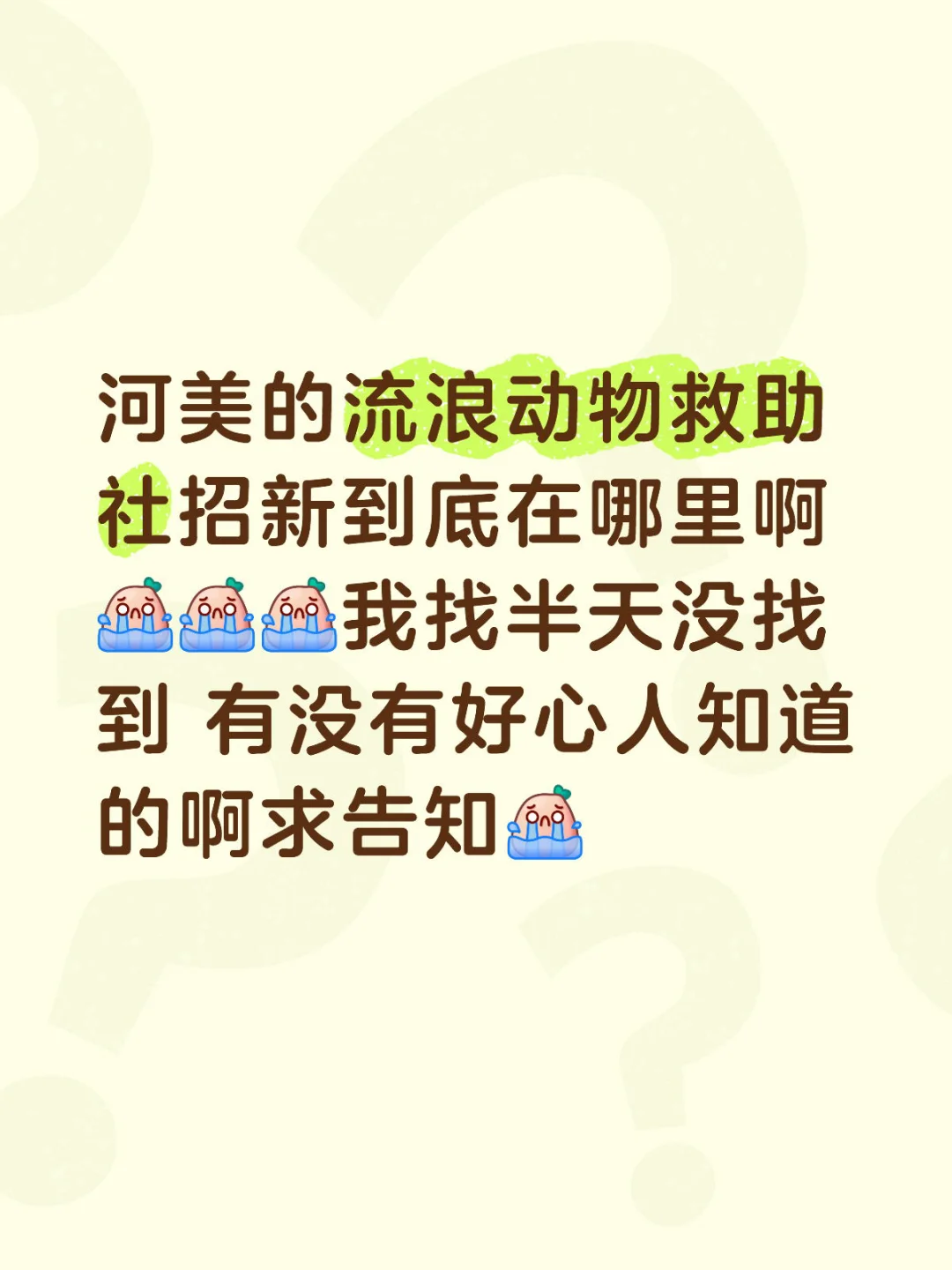 在哪里啊