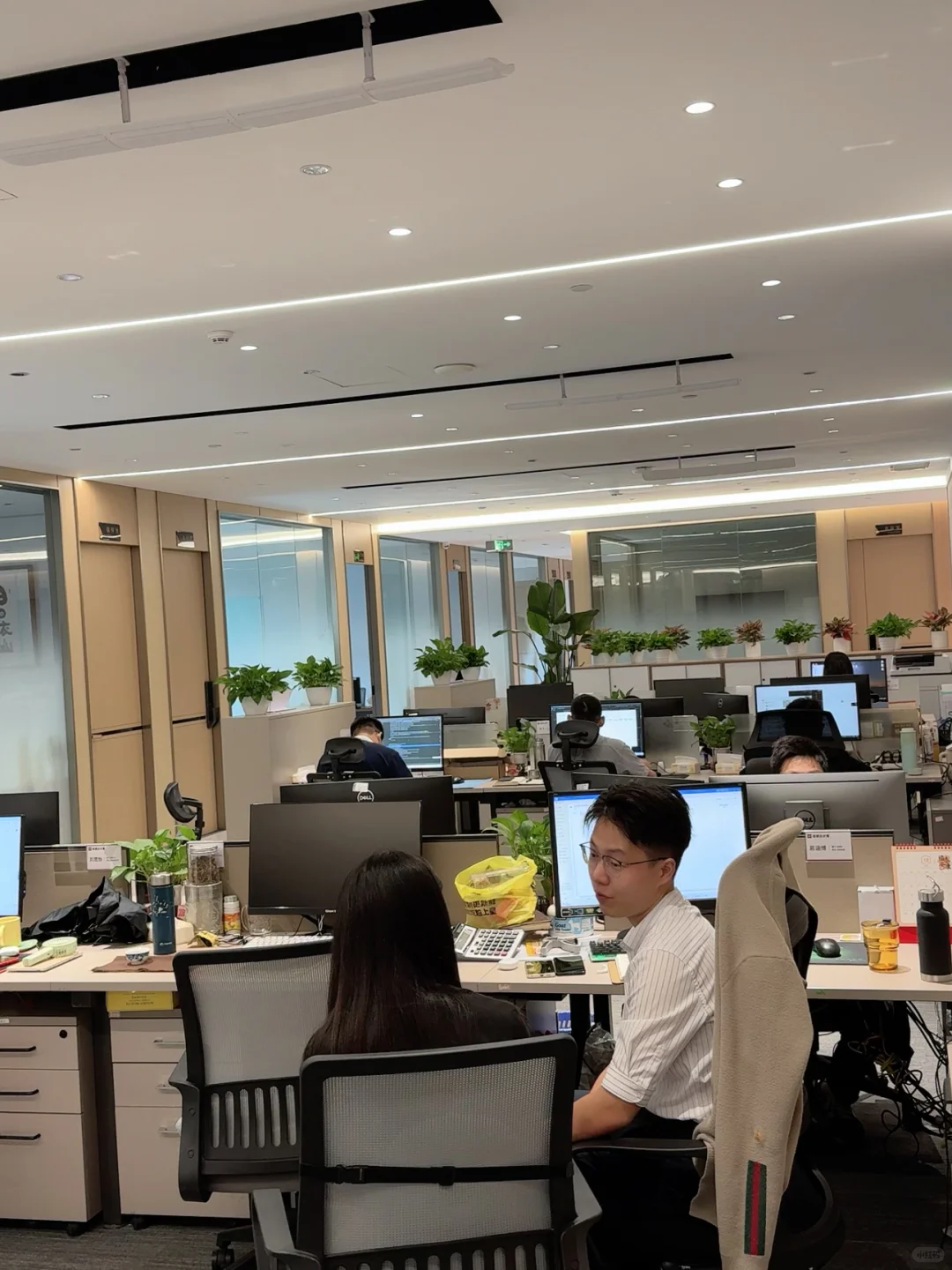 深圳福田双休五险一金 综合薪资7-8k