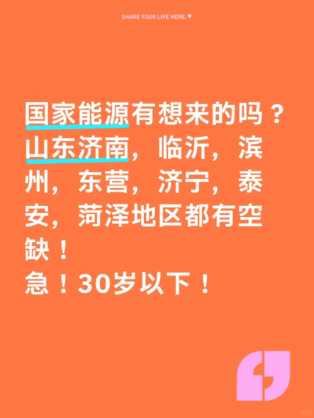 国家能源集团开始招人！