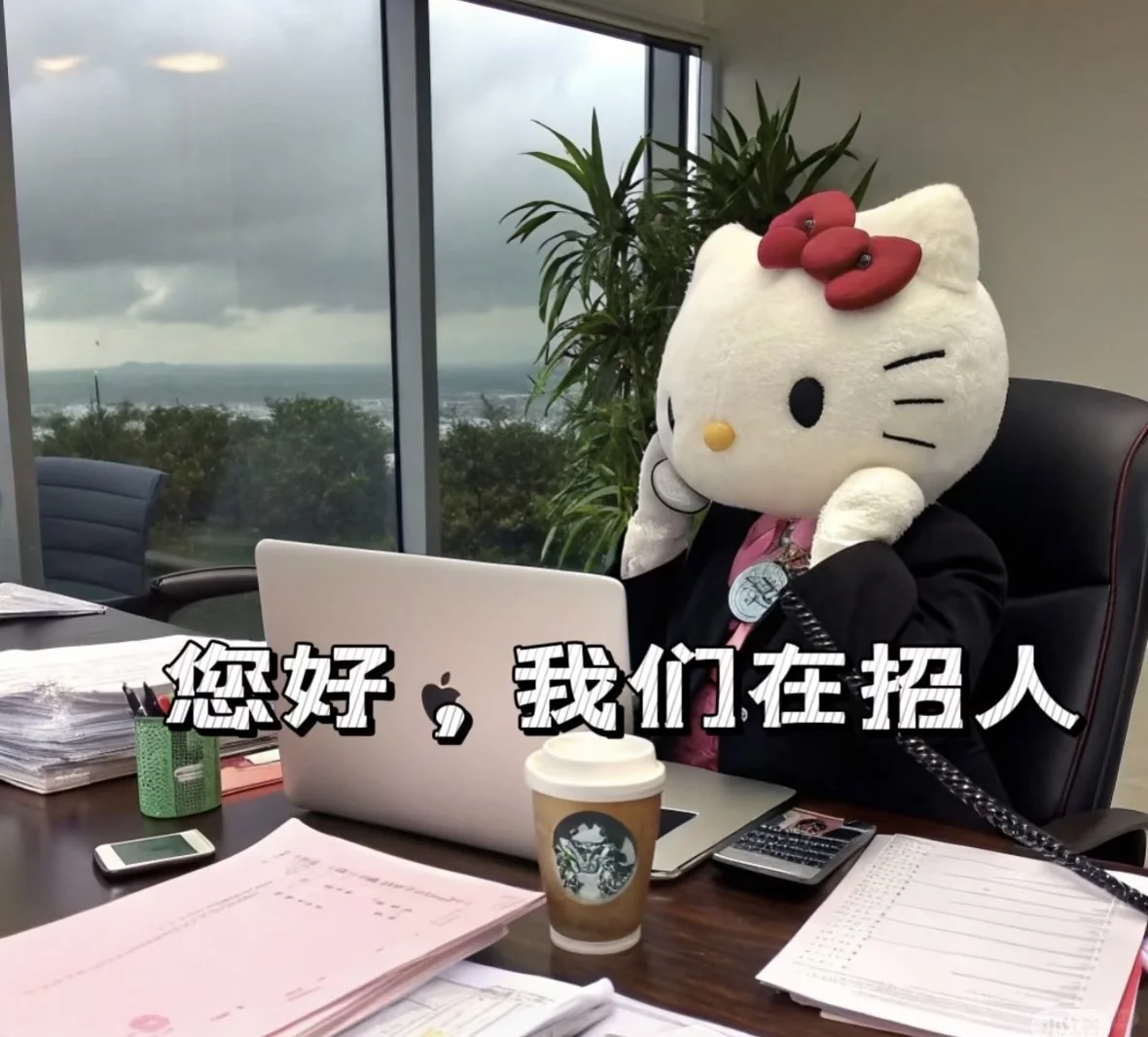 我缺销售你缺💰