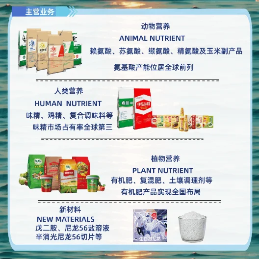 【食品必看】伊品生物2026届全球校园招聘
