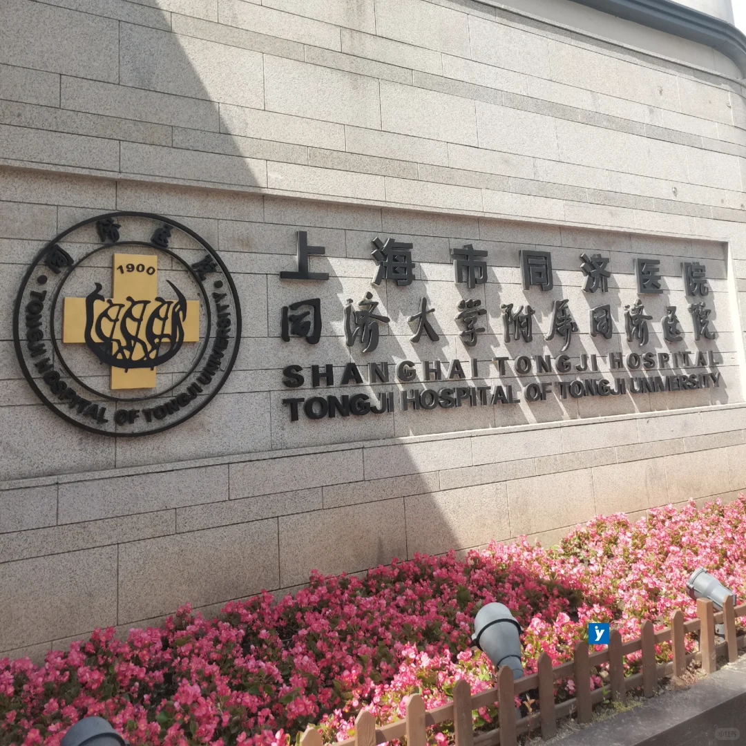 同济大学附属同济医院2026年度招聘