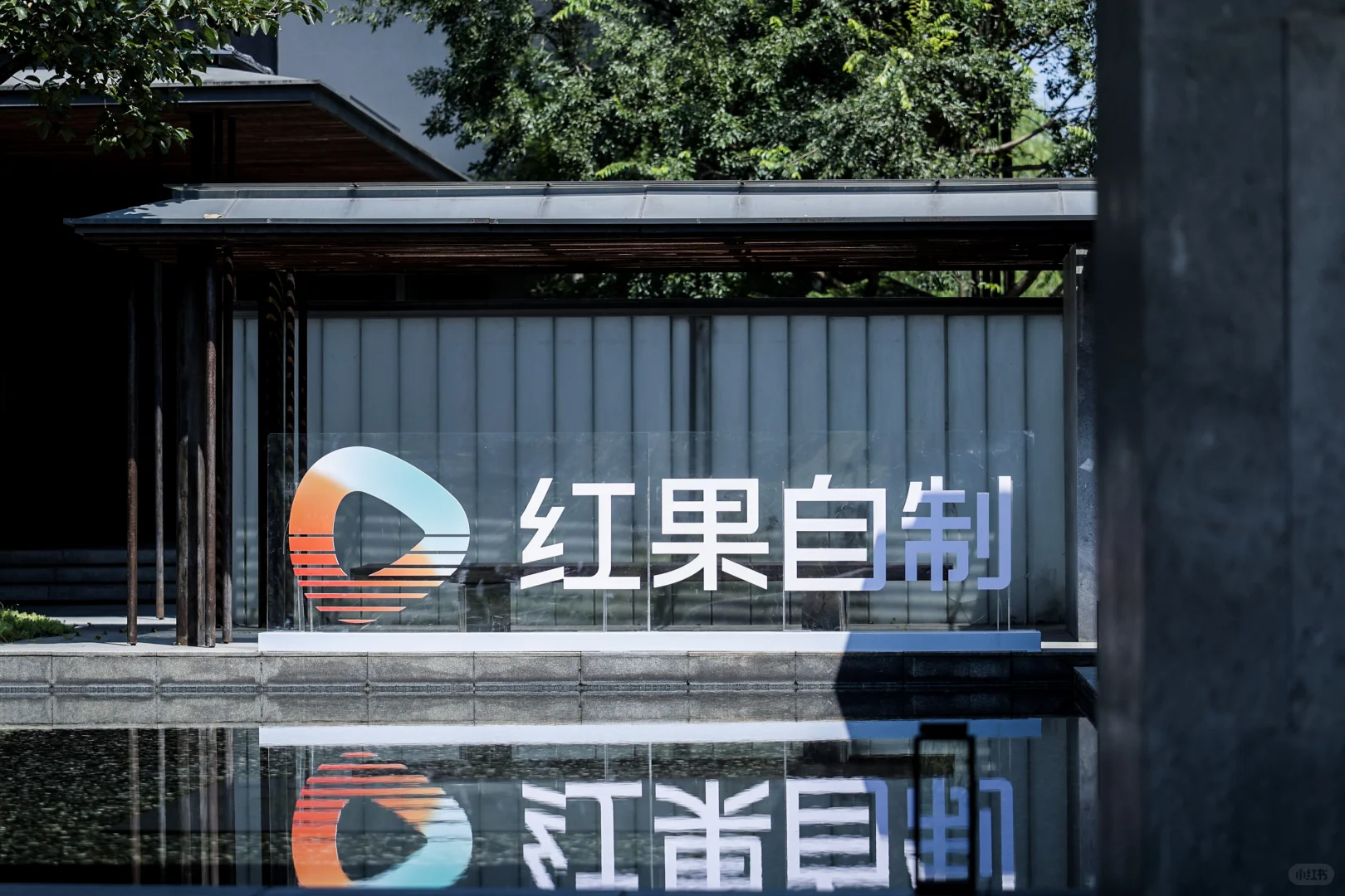 杭州招坐班编剧 可带新人【需有网文经验】
