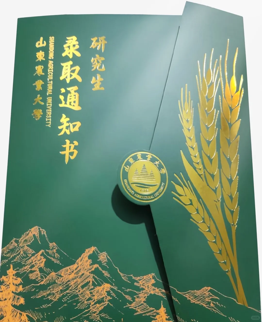不是打击泰安体制内，但是考山东农业大学..