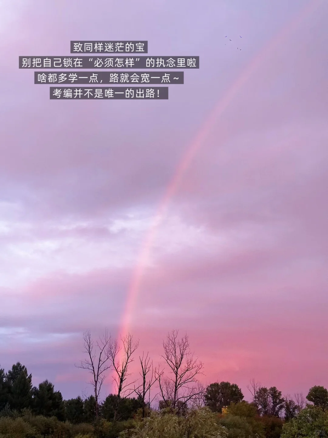 深圳教师考编失败｜试问文科生的出路在哪里❓