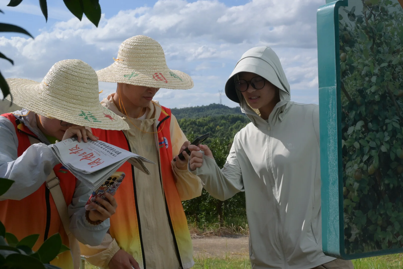 笃行“三农”政策，助力乡村振兴