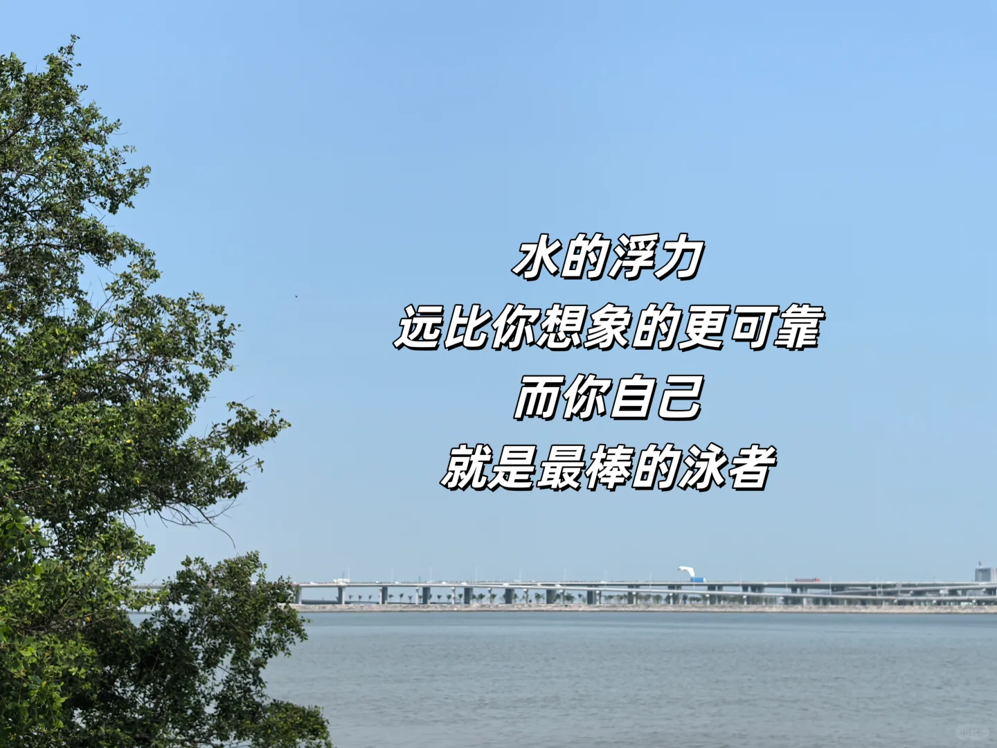 37岁失业，其实不上班，出路真的挺多的