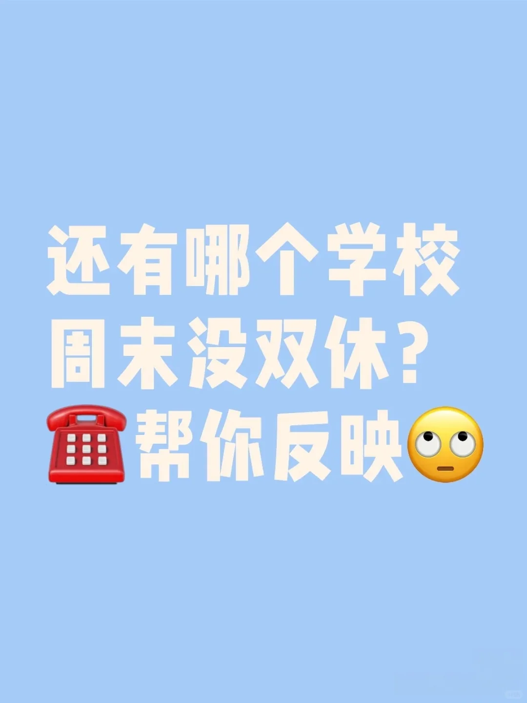 ☎️(＾∇＾) 反映问题 周末无休政策的来