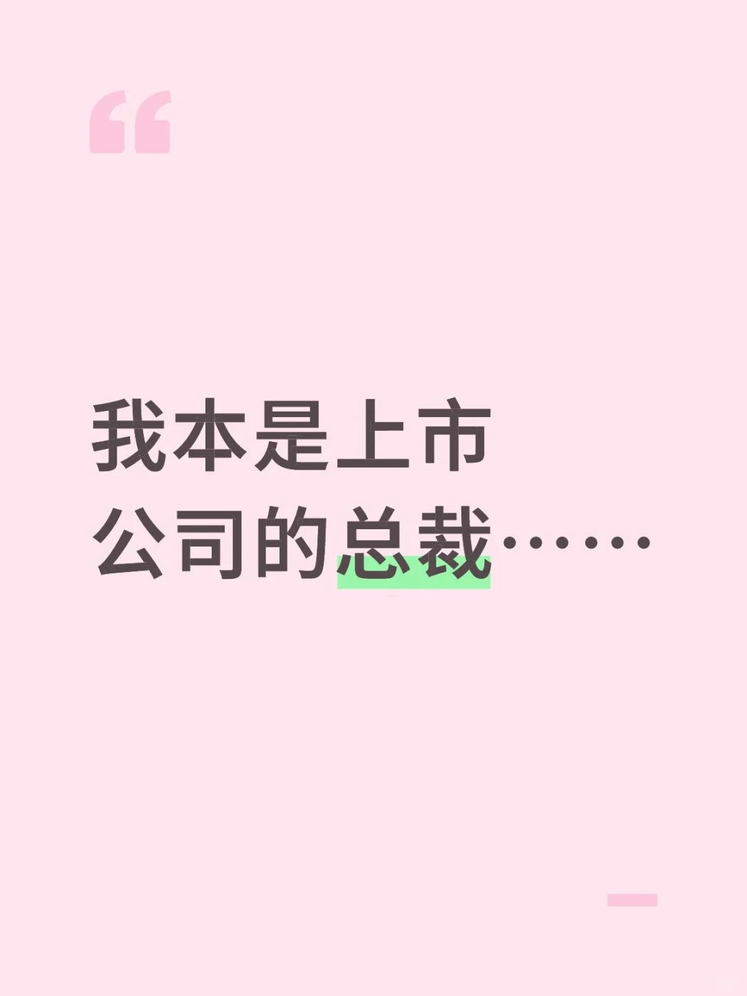 我本是上市公司的老总……