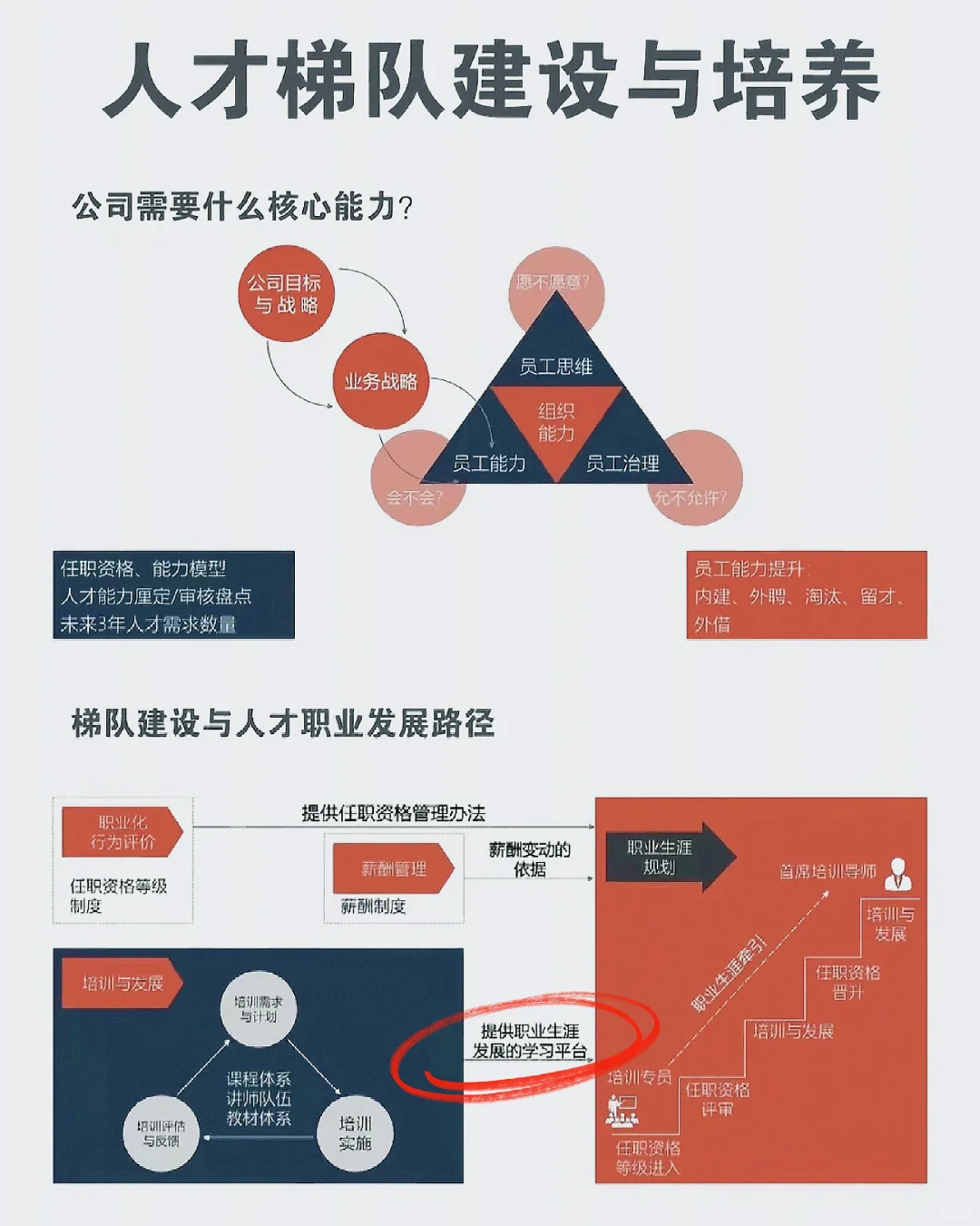建设人才梯队！让人才为发展加速🏃‍♂️
