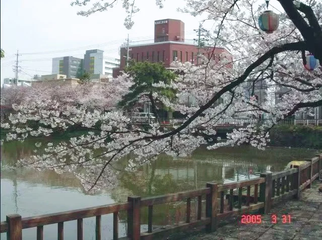 去日本打工3年，我存了30万