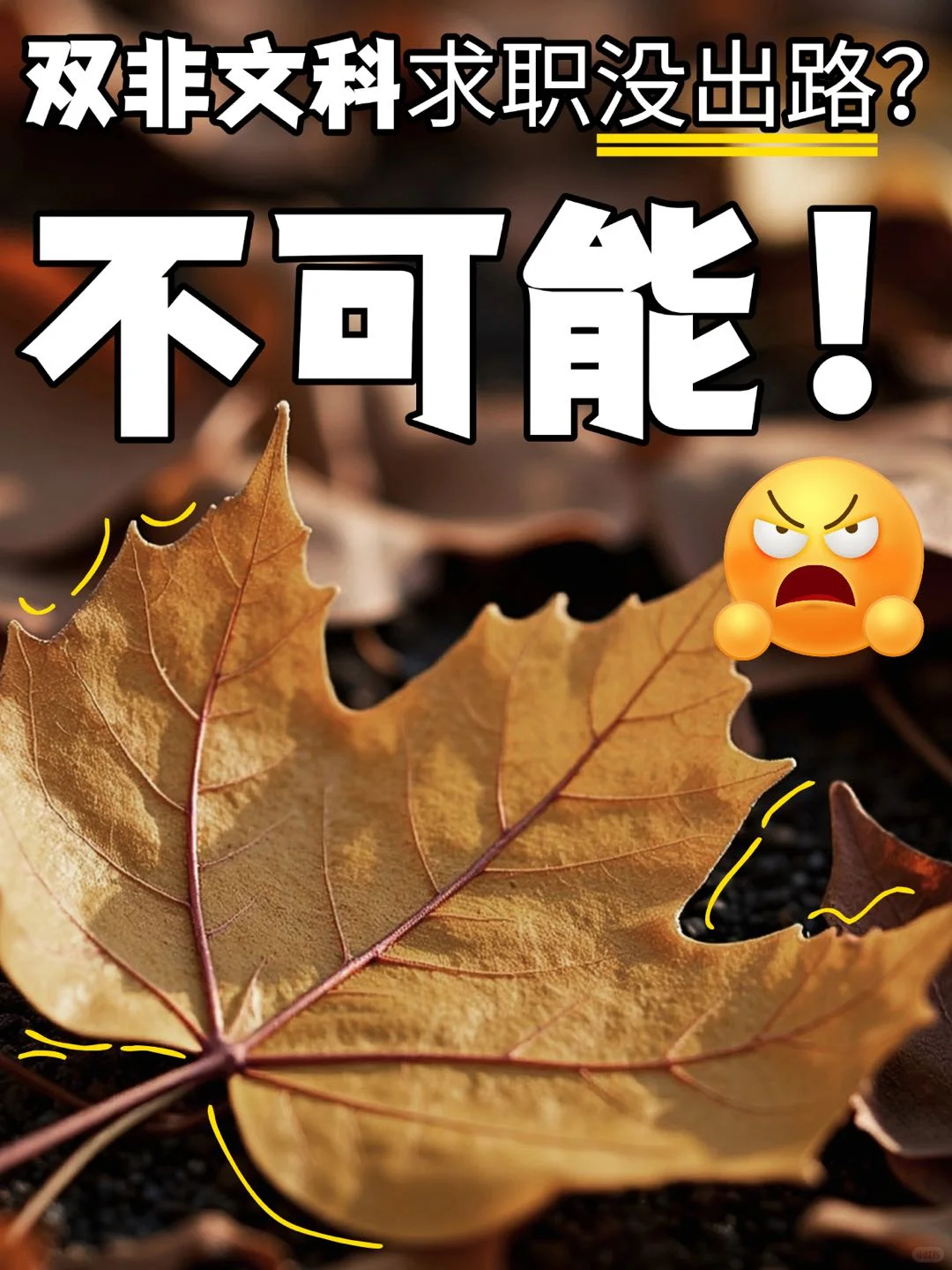 双非文科别emo！换个思路在BOSS直聘