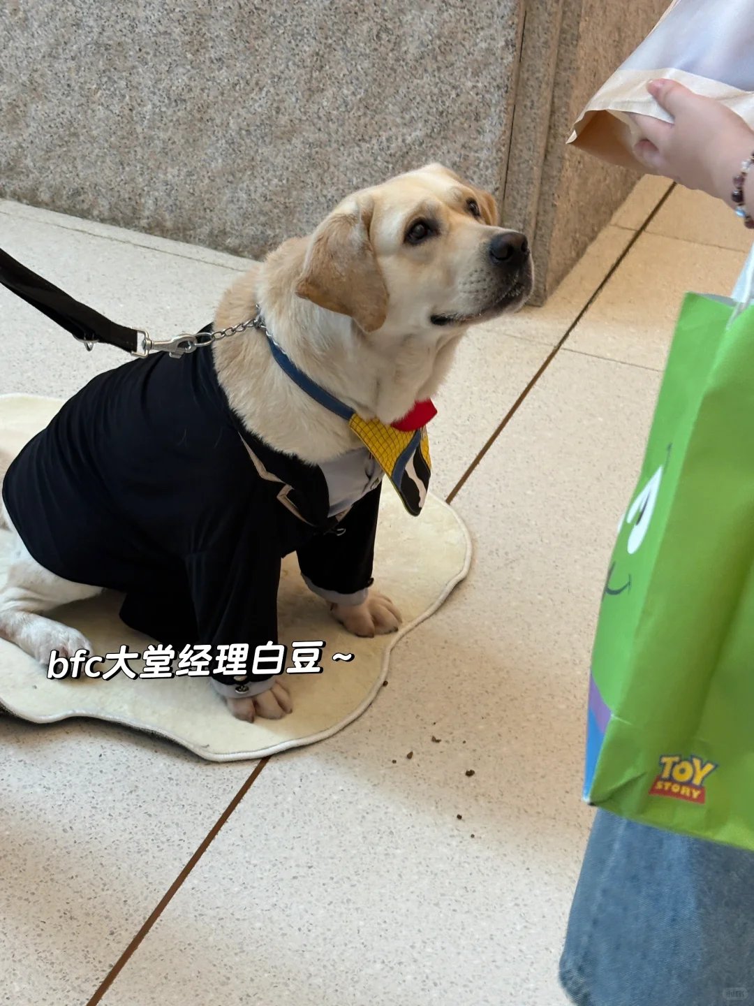 top PE实习生的一个月plog🧱