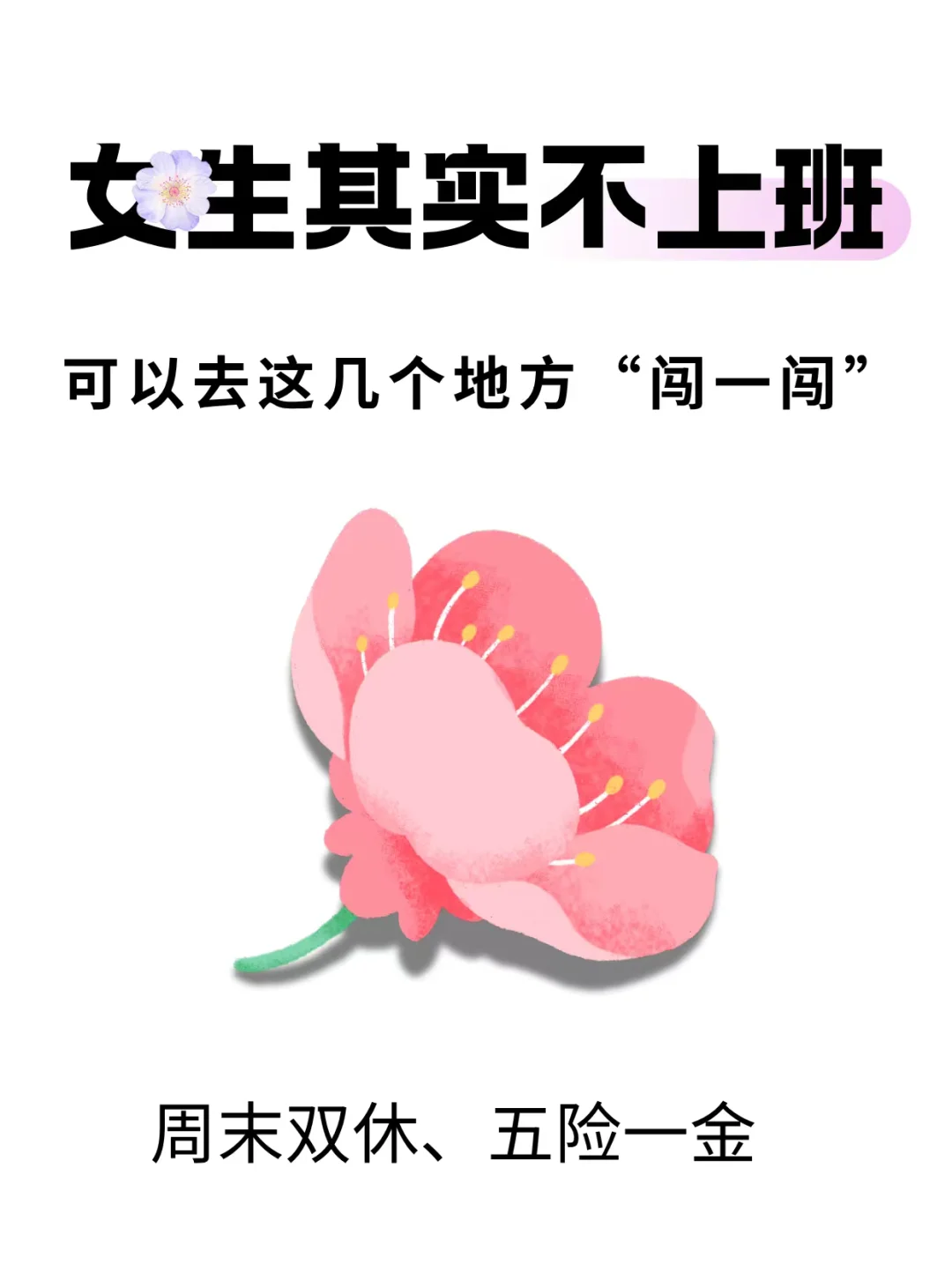 女生其实不上班，可以去这几个地方闯一闯❗