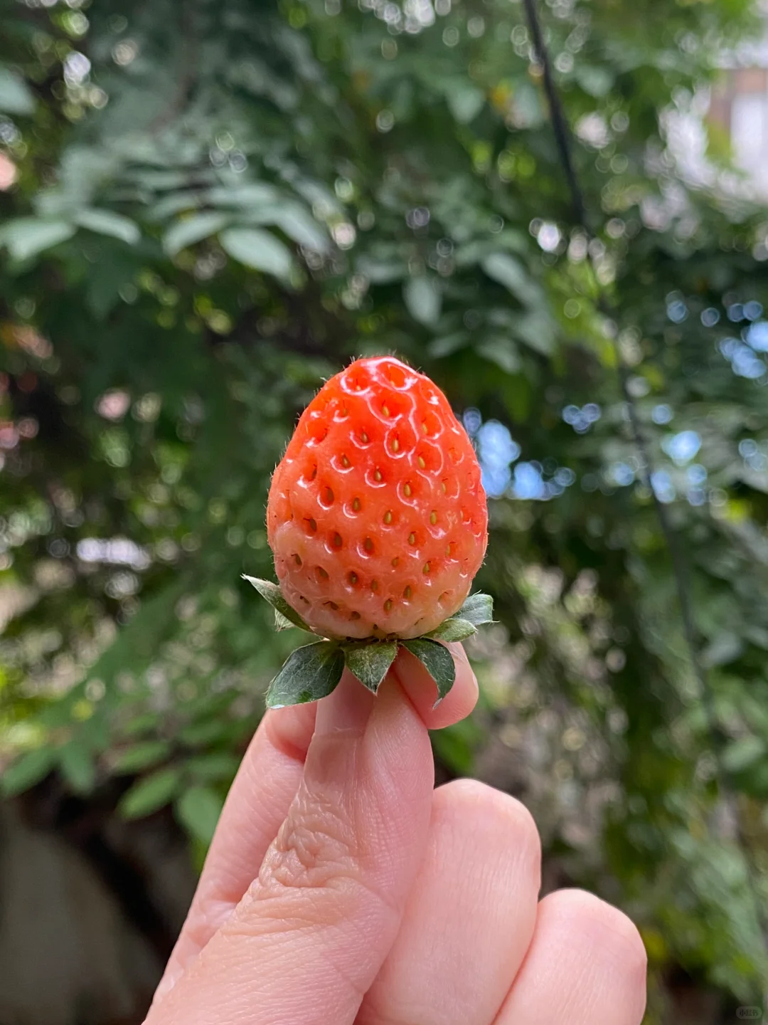 月薪4500|已存8.1w|存钱久了真的会上瘾