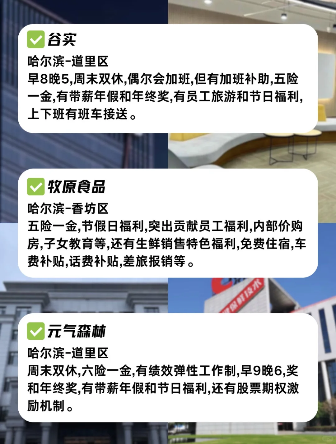 大专生可以去的公司——哈尔滨篇