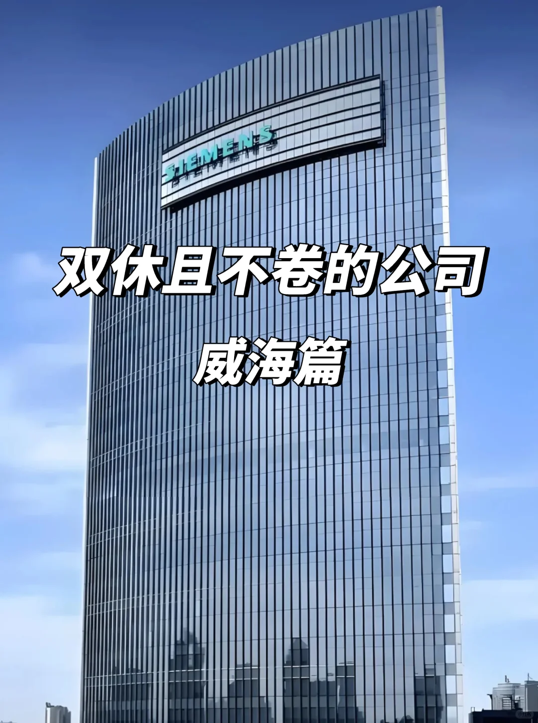 威海宝子速看！12家双休不卷神仙公司太香了