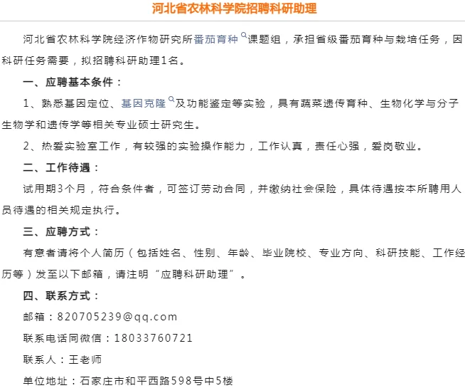 石家庄科研岗！免笔试直接投📮
