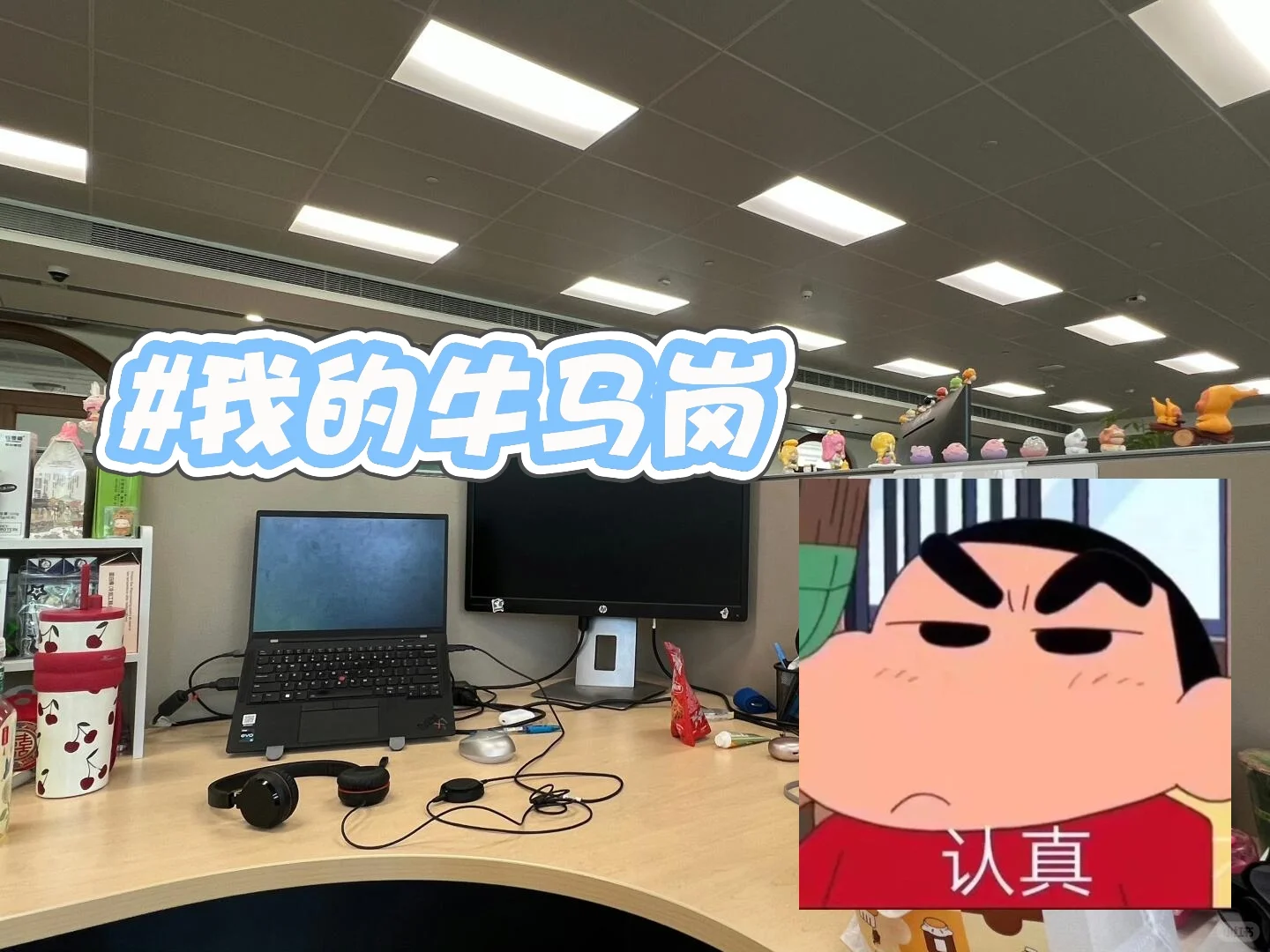 建议低学历的都来干车载，早九晚五双休
