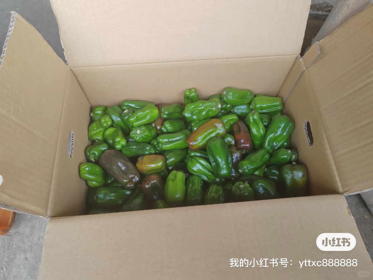 想拿特定2号就是这么简单
