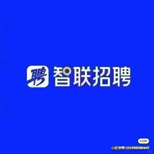 稳定收 智联 猎聘 boss 数据表单 简历