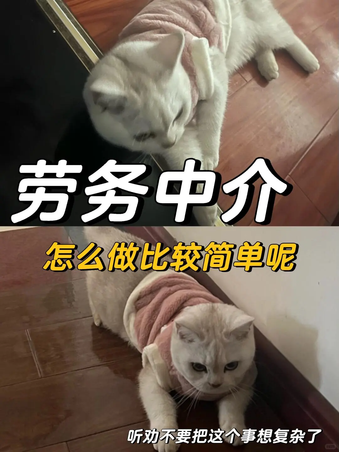 普通人怎么进入劳务行业