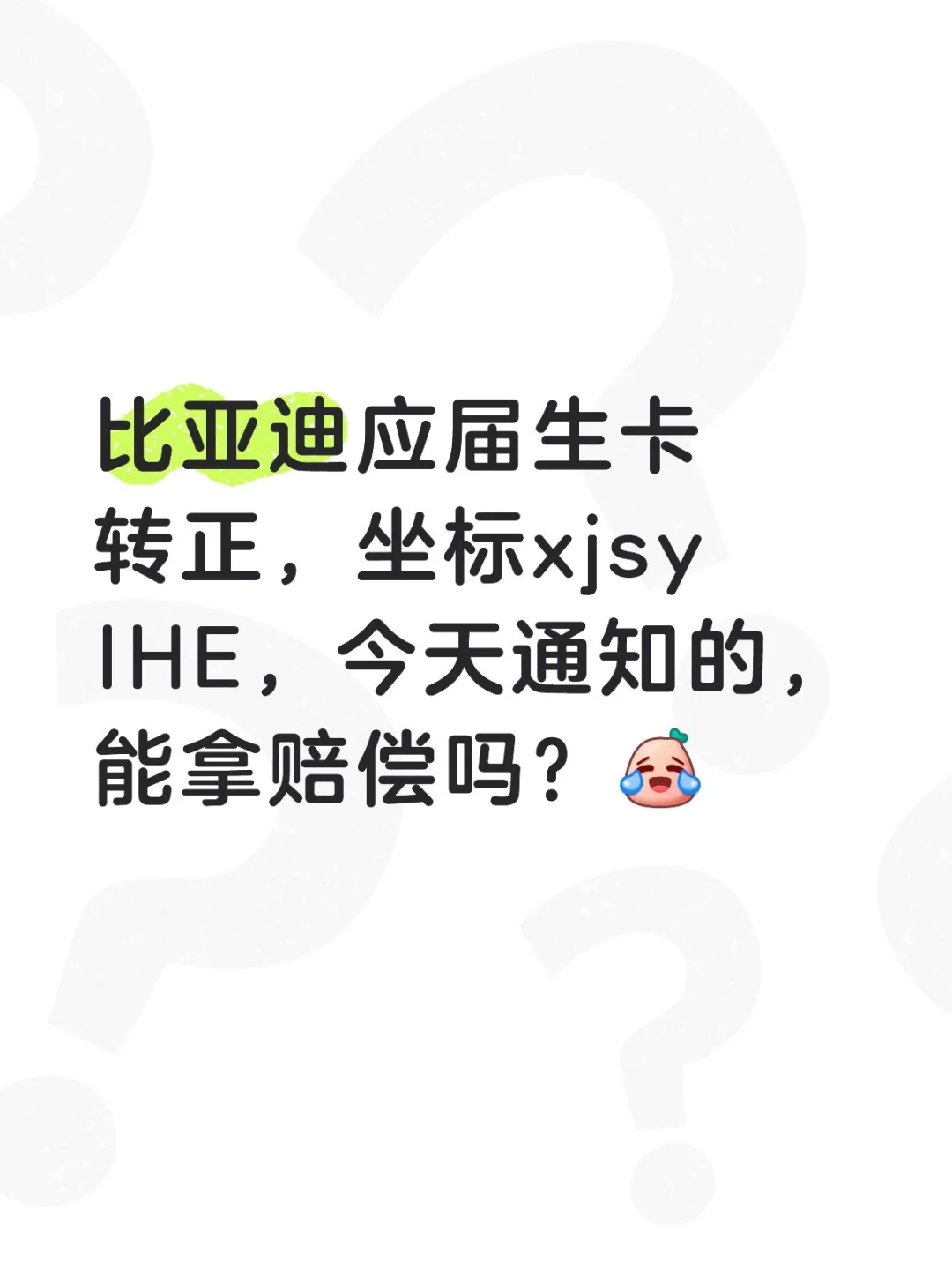 避雷BYD