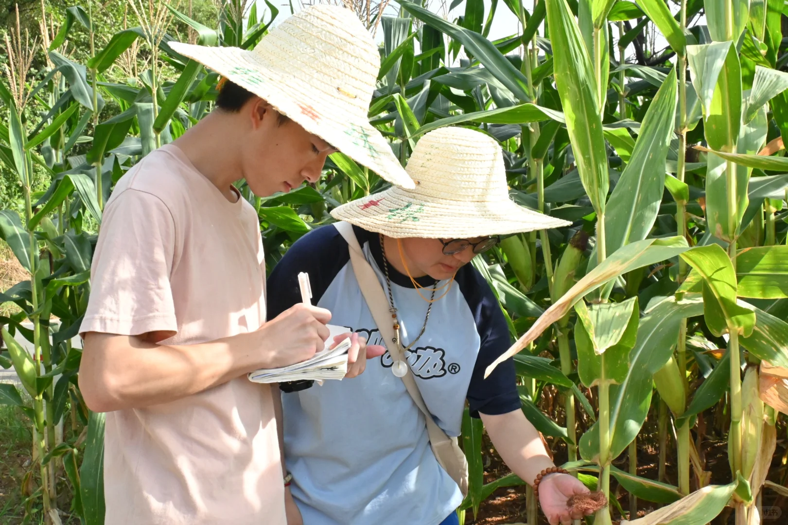 笃行“三农”政策，助力乡村振兴