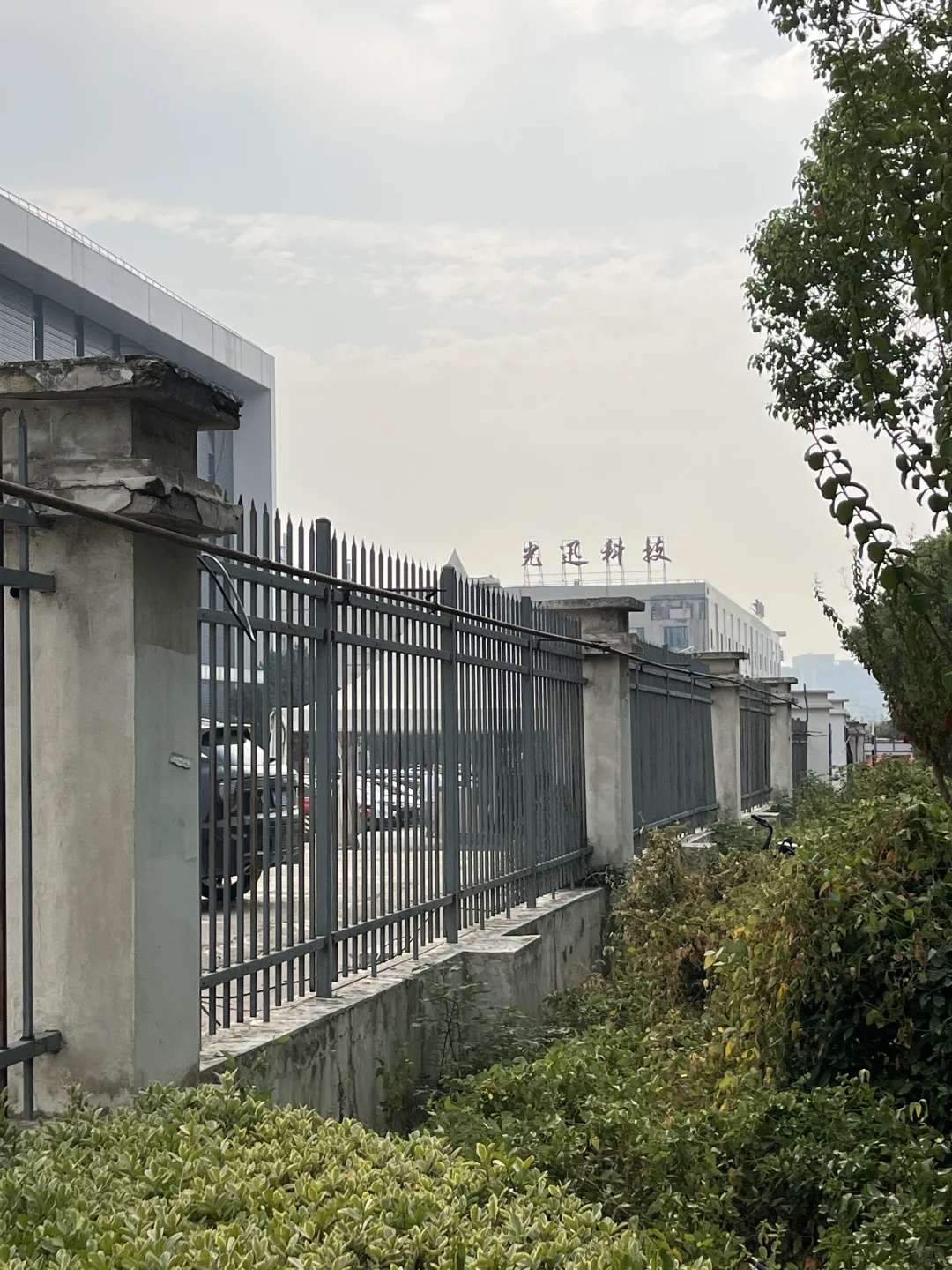 震惊了姐妹们，光迅面试人好多啊！