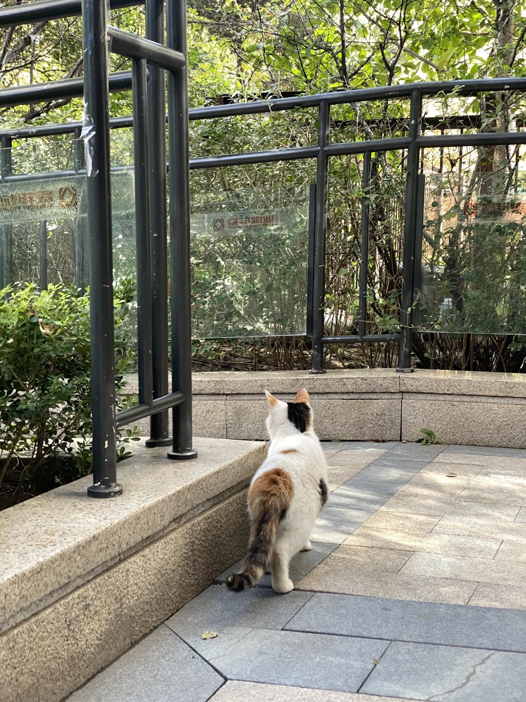 北京高级会计师失业后就地躺平😌
