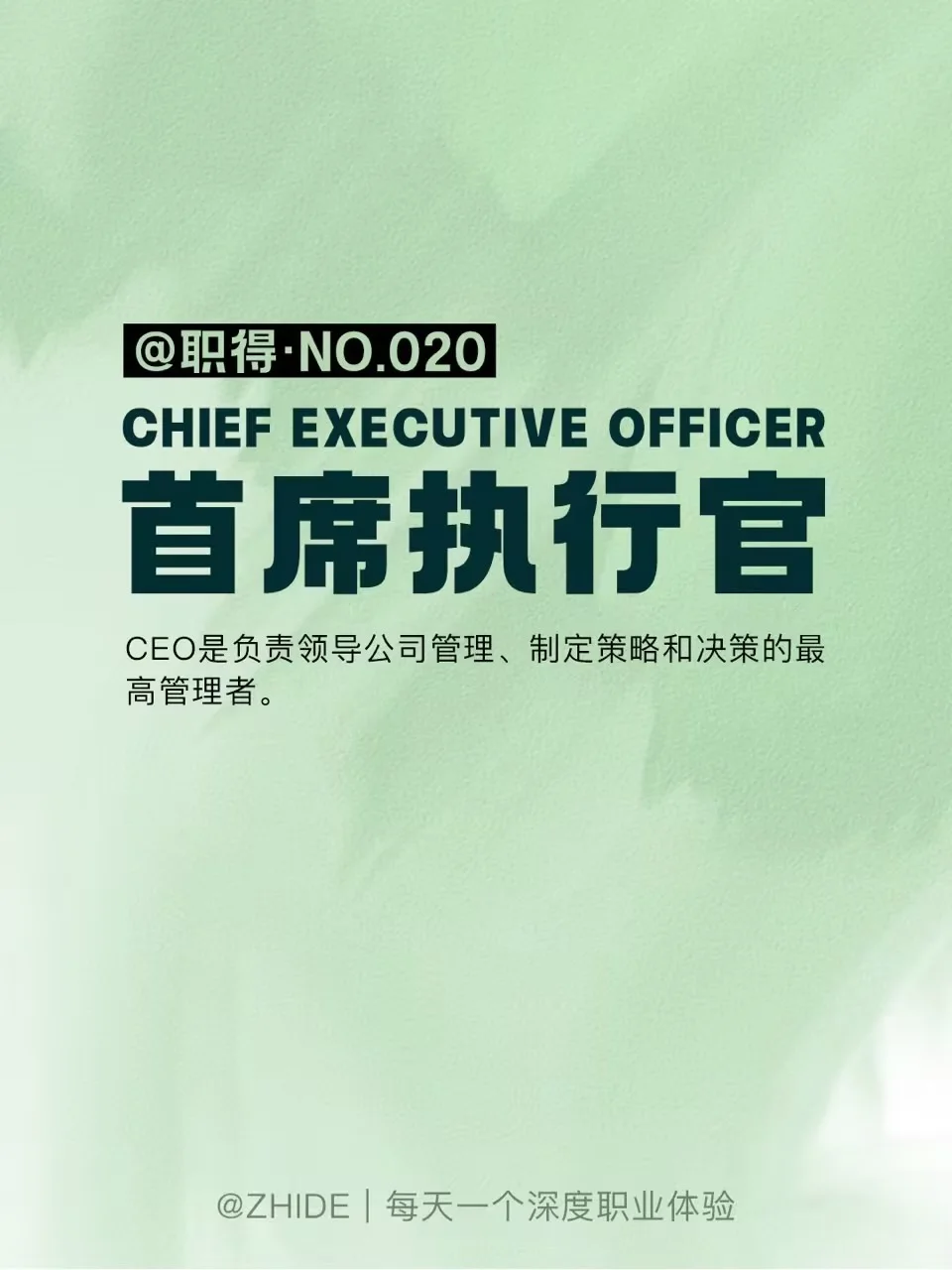 每天一个深度职业体验|首席执行官