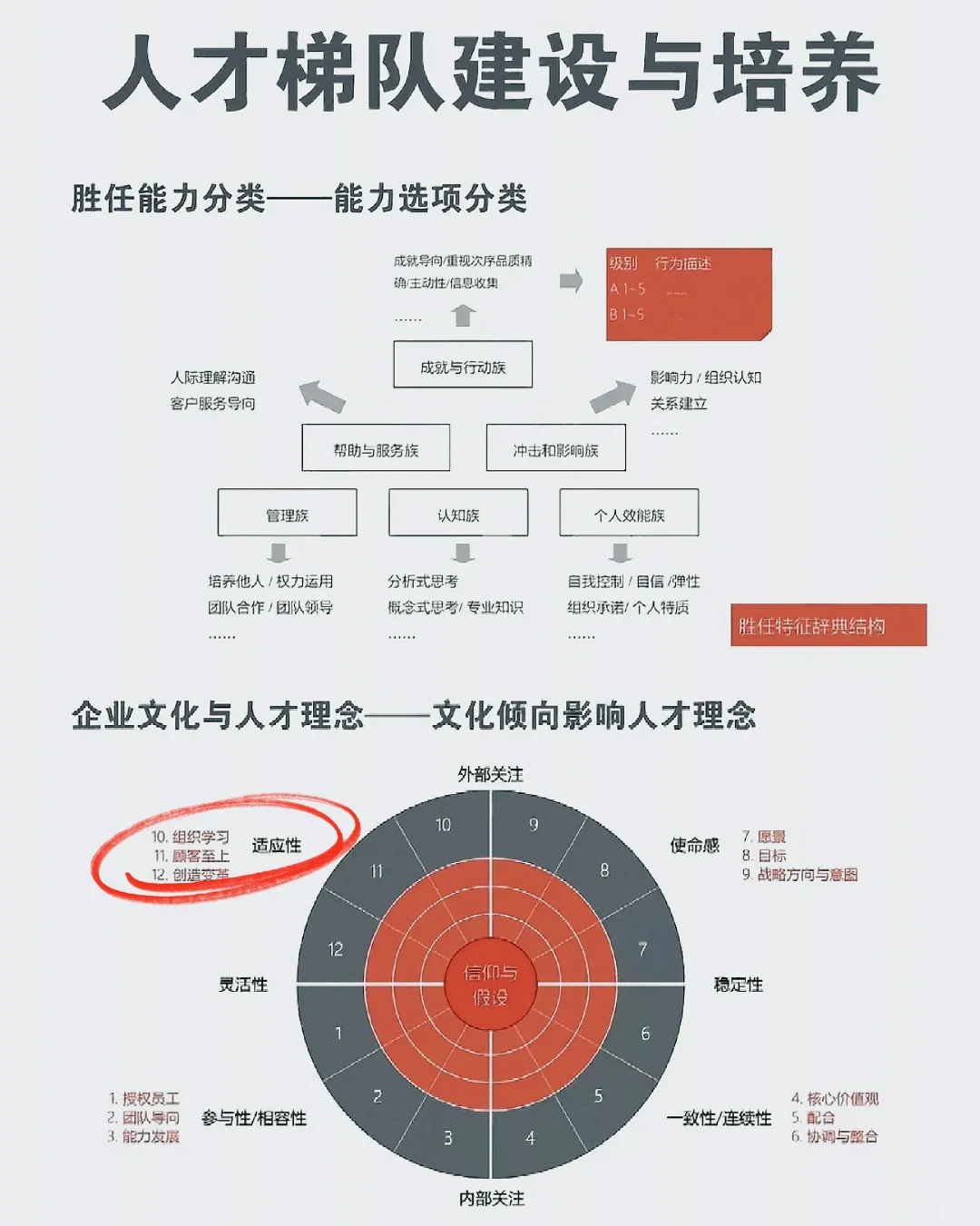 建设人才梯队！让人才为发展加速🏃‍♂️