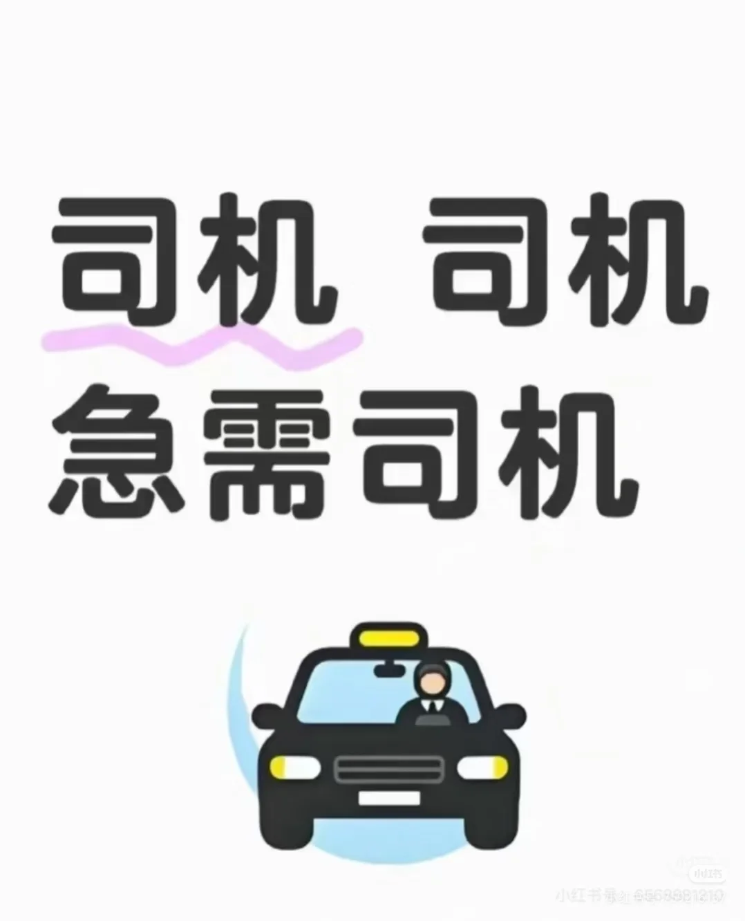 初创公司急招4名纯开车的司机！！！
