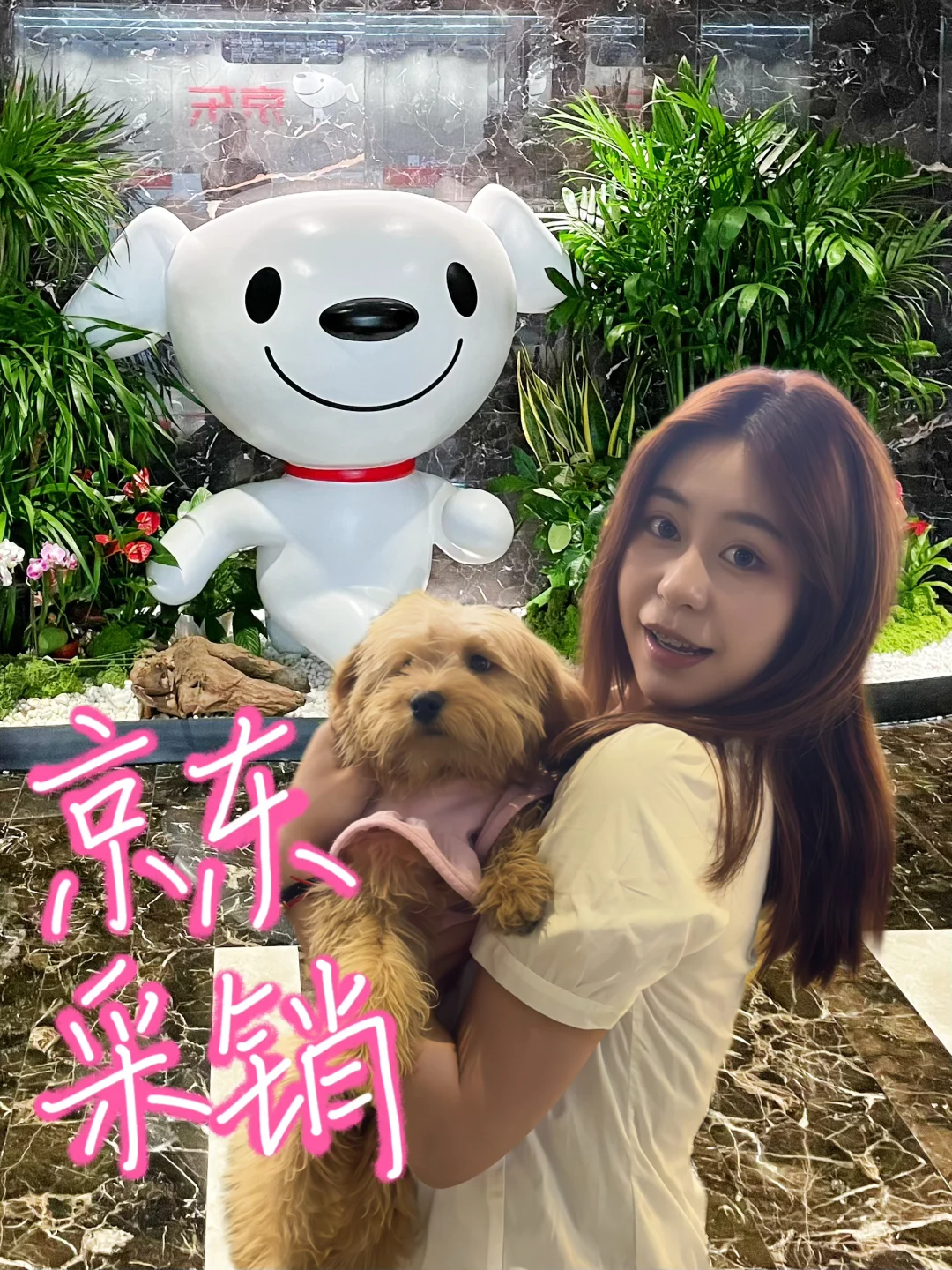 秋招季｜京东采销面经（已意向，传递好运💗）
