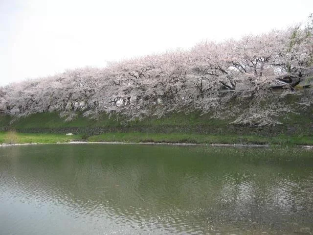 去日本打工3年，我存了30万
