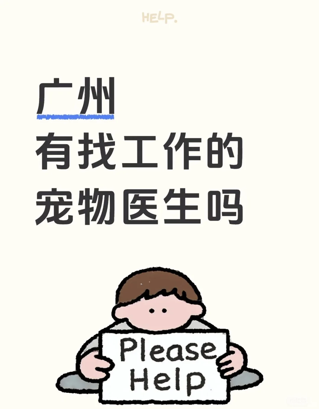 招有经验的宠物医生