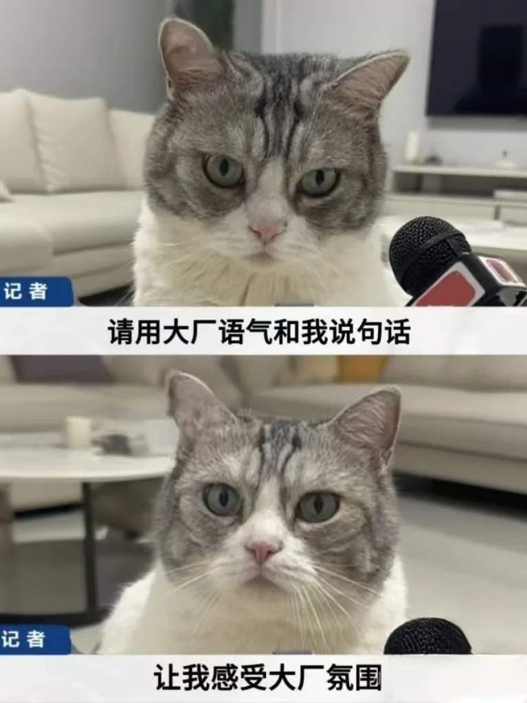 互联网大厂面试，牢记这个话术原则