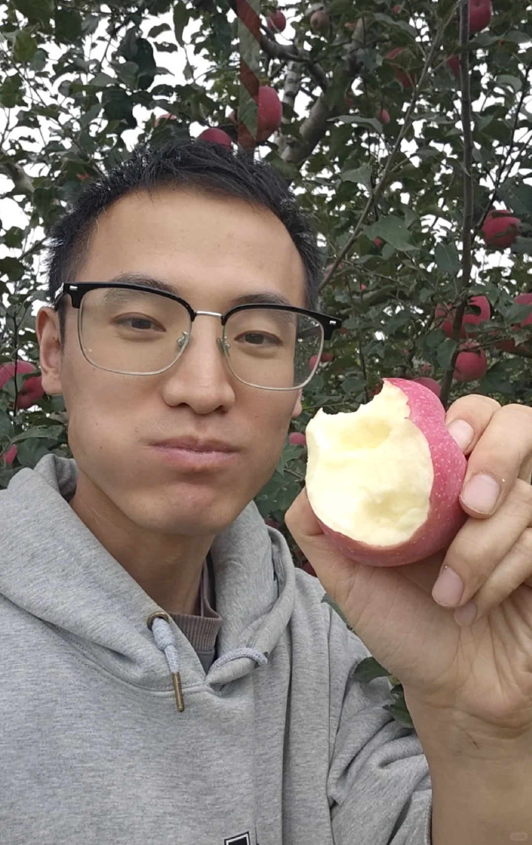 苹果开园啦，快来尝尝吧